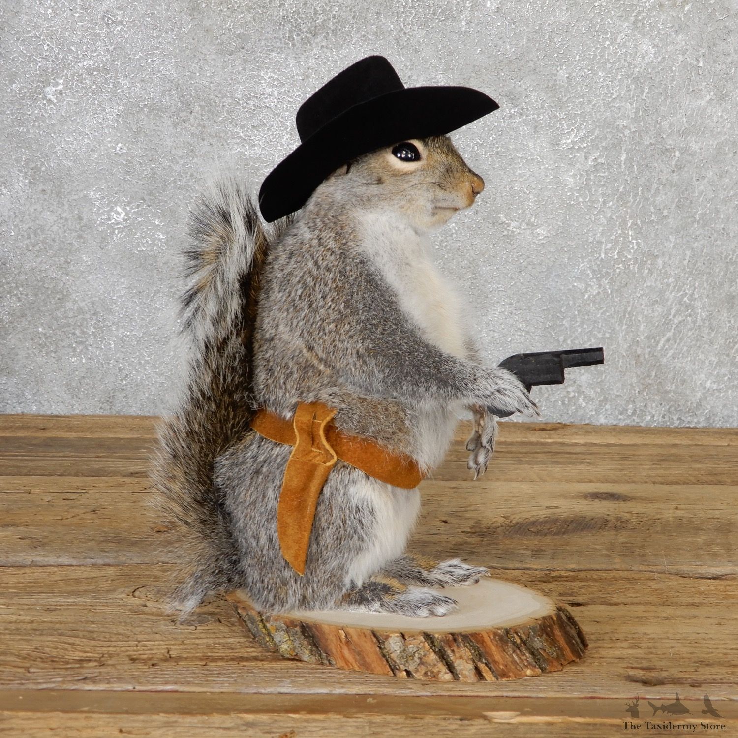 Cowboy Squirrel Novelty Mount For Sale #19065 @ The Taxidermy Store
