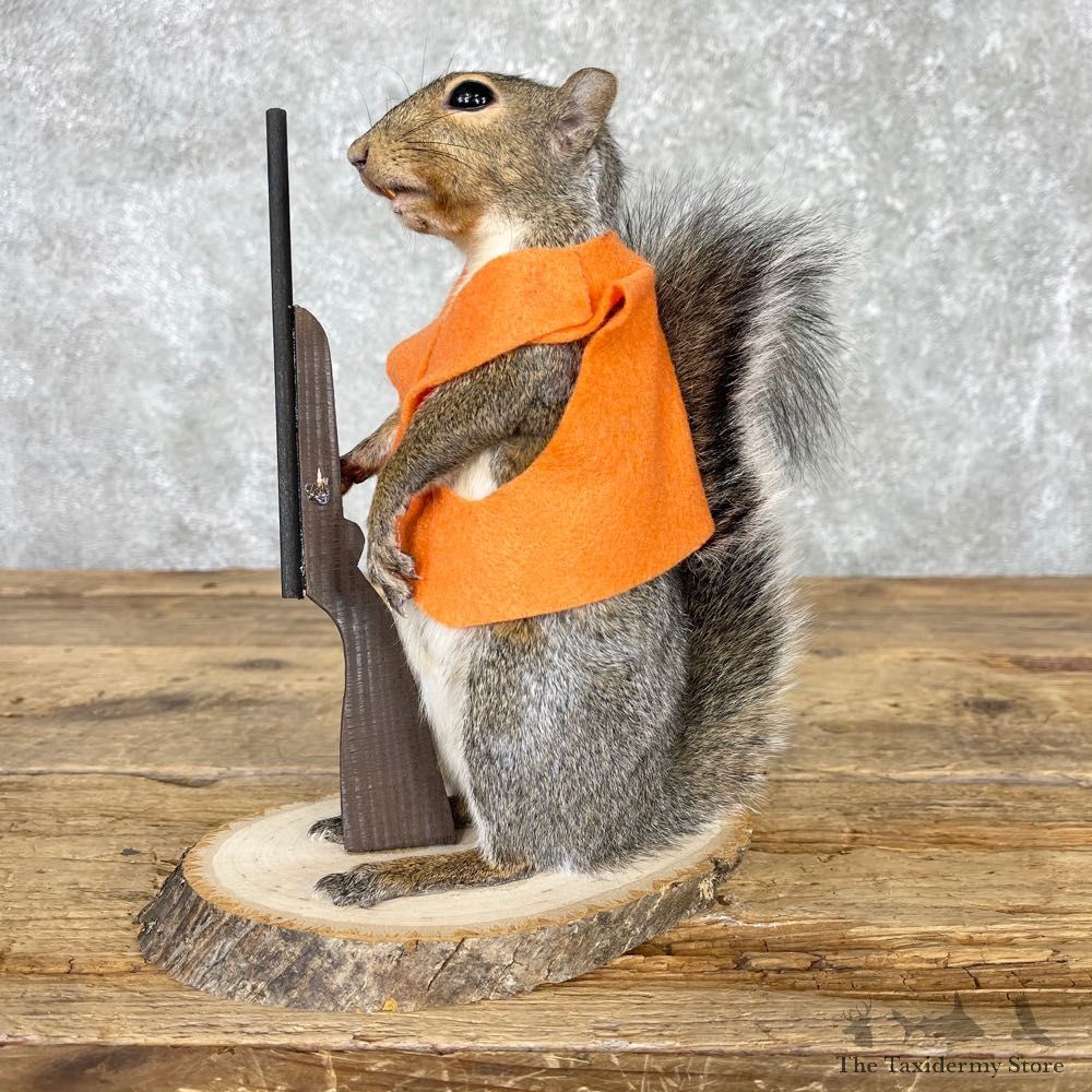 Hunting Squirrel Novelty Mount For Sale #24034 @ The Taxidermy Store