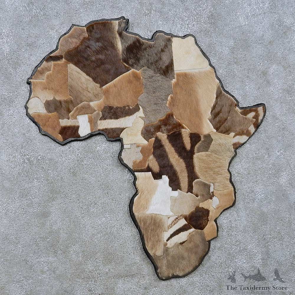 African Continent Wall Decor For Sale #15071 @ The Taxidermy Store