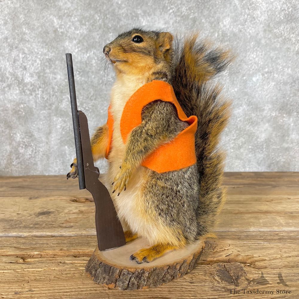 Hunting Squirrel Novelty Mount For Sale #25018 @ The Taxidermy Store