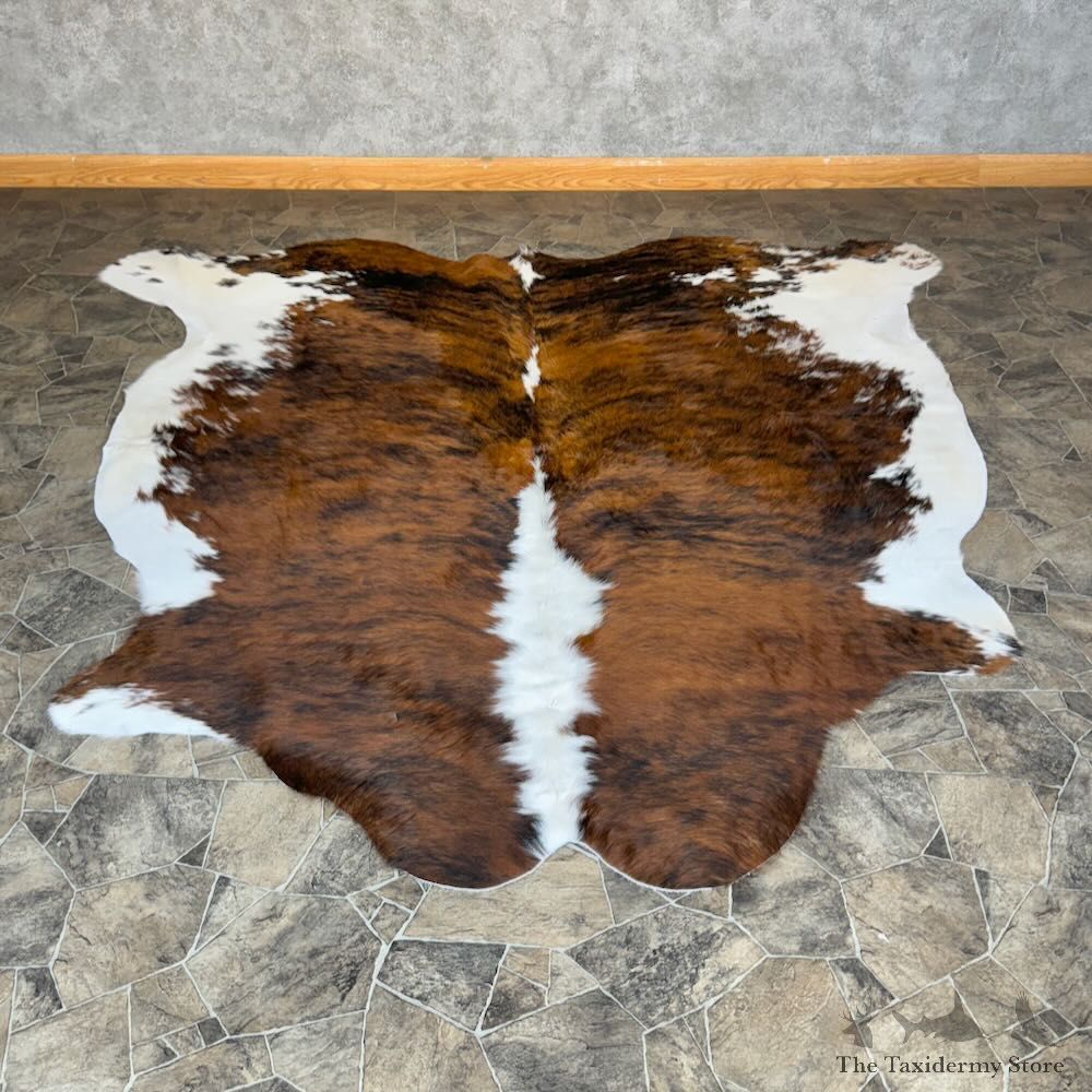 Brown Brindle Cowhide Skin For Sale #28836 @ The Taxidermy Store