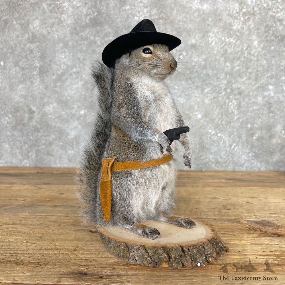 Cowboy Squirrel Novelty Mount For Sale #24979 @ The Taxidermy Store