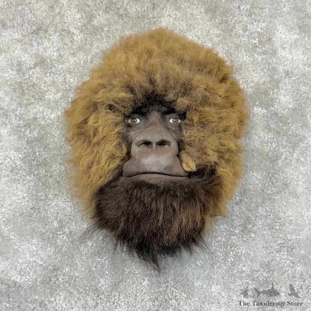 Replica Bigfoot Head Mount For Sale #31217 @ The Taxidermy Store
