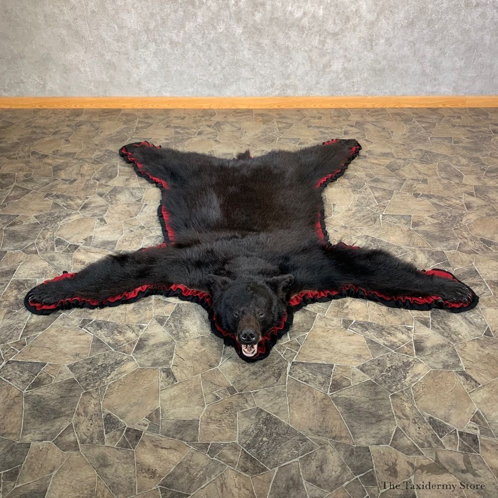 Black Bear Full-Size Rug For Sale #23031 @ The Taxidermy Store