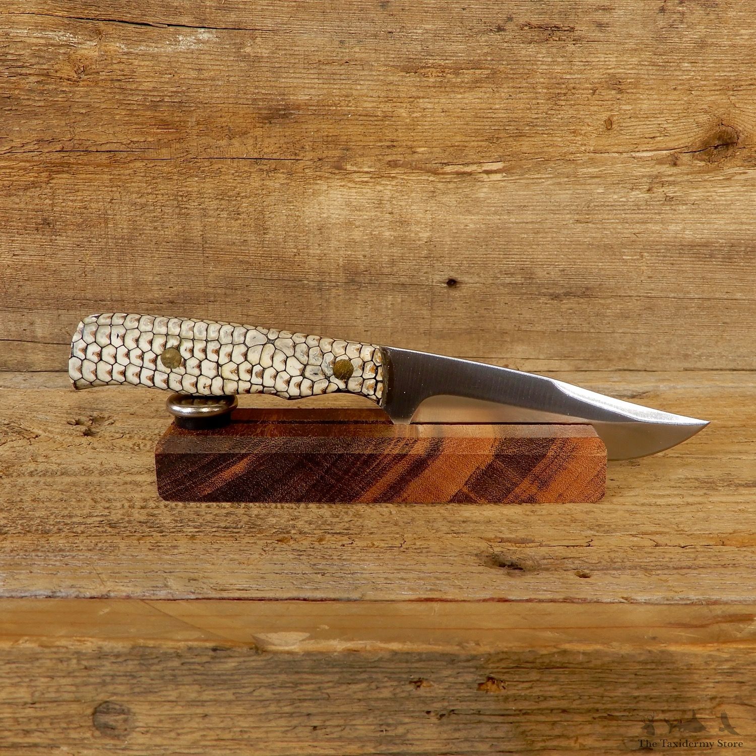 Royal 7 Clip Point Hunting Knife For Sale #19201 @ The Taxidermy Store