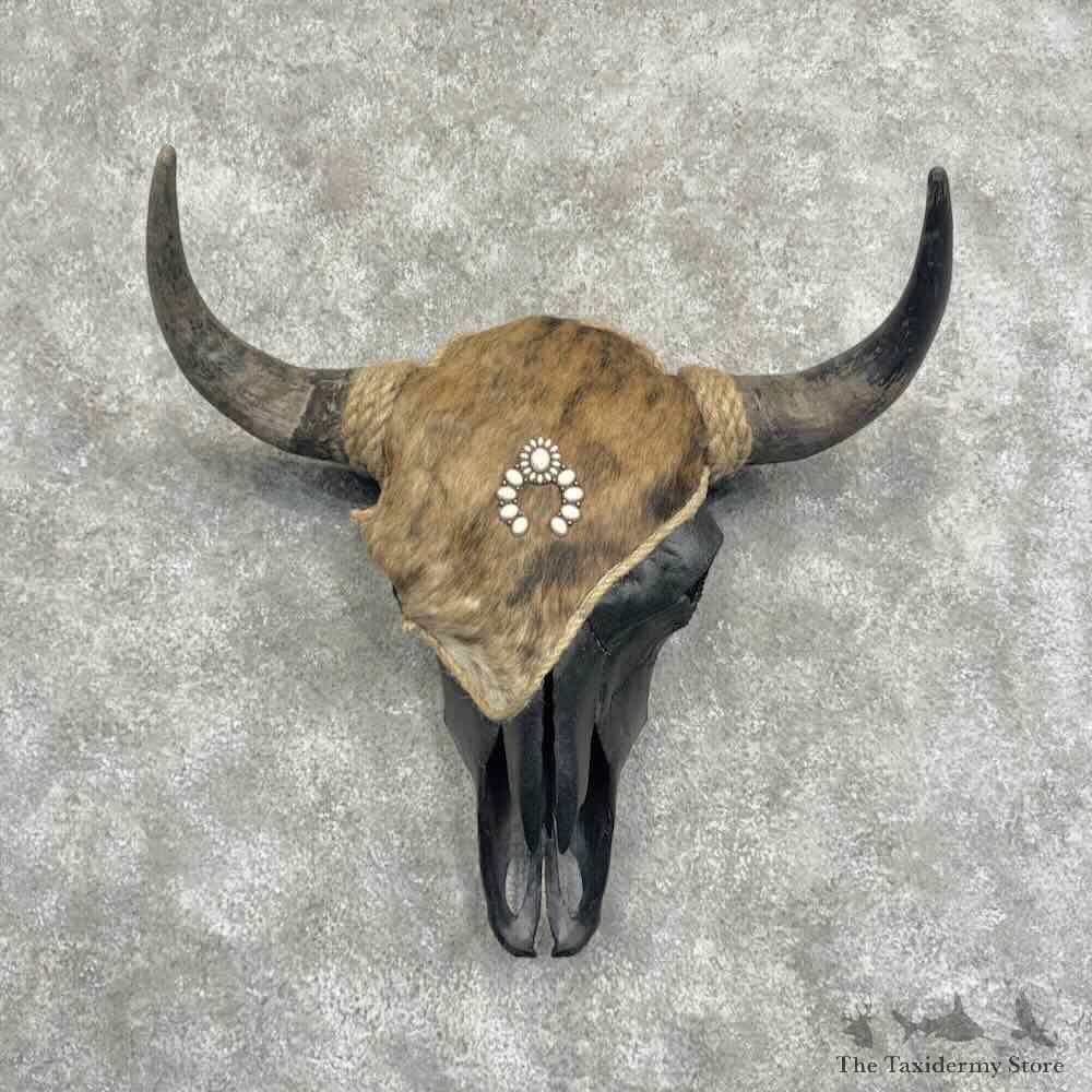 American Buffalo Bison Skull Decor For Sale #32199 @ The Taxidermy Store
