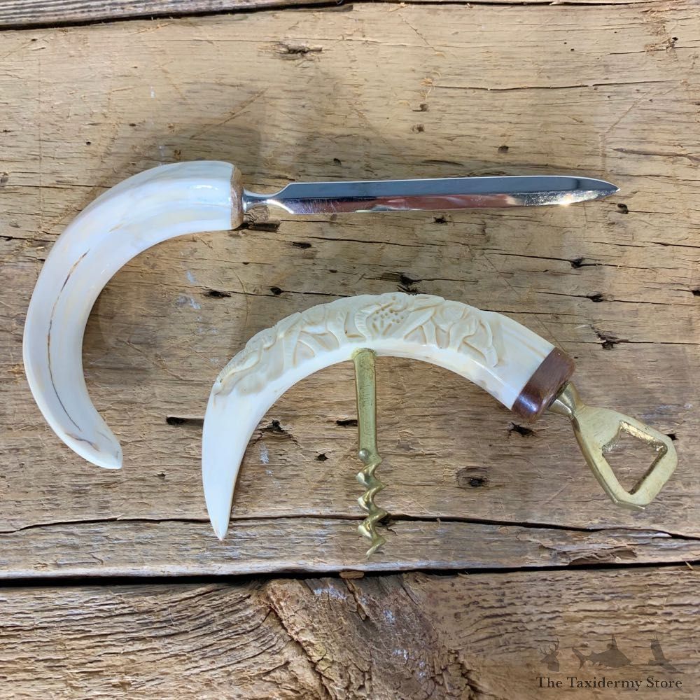 Carved Bone Bottle Opener And Letter Opener For Sale #21802 @ The Taxidermy Store
