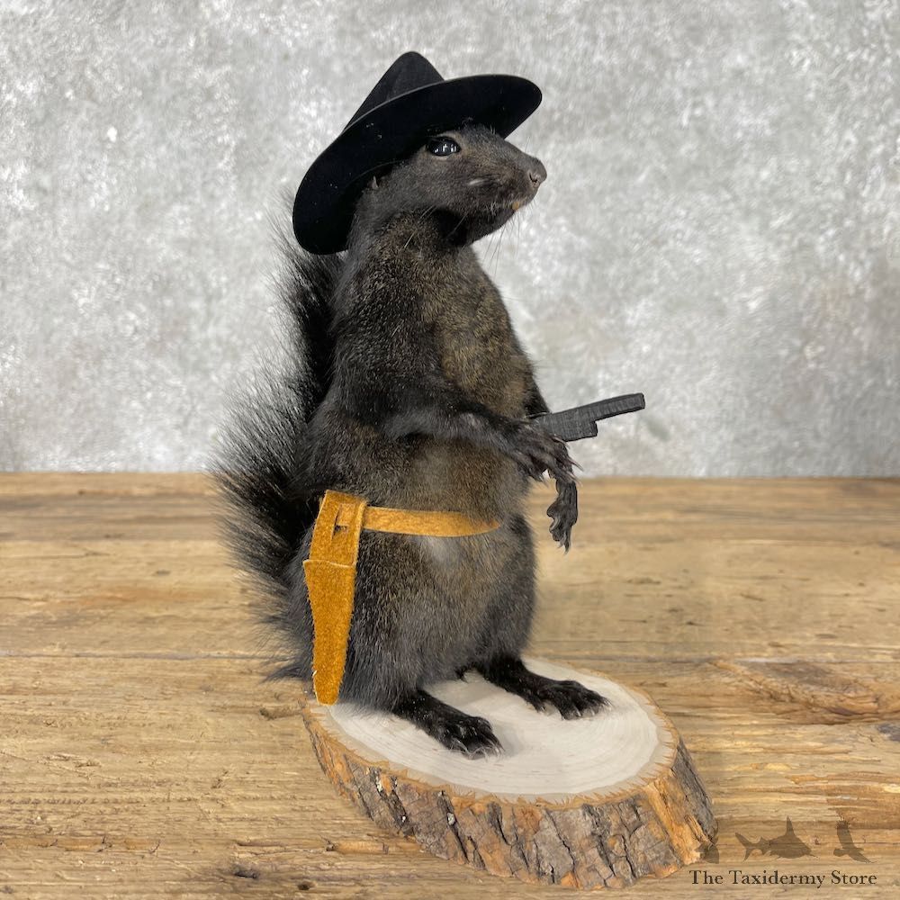 Cowboy Squirrel Novelty Mount For Sale #26074 @ The Taxidermy Store