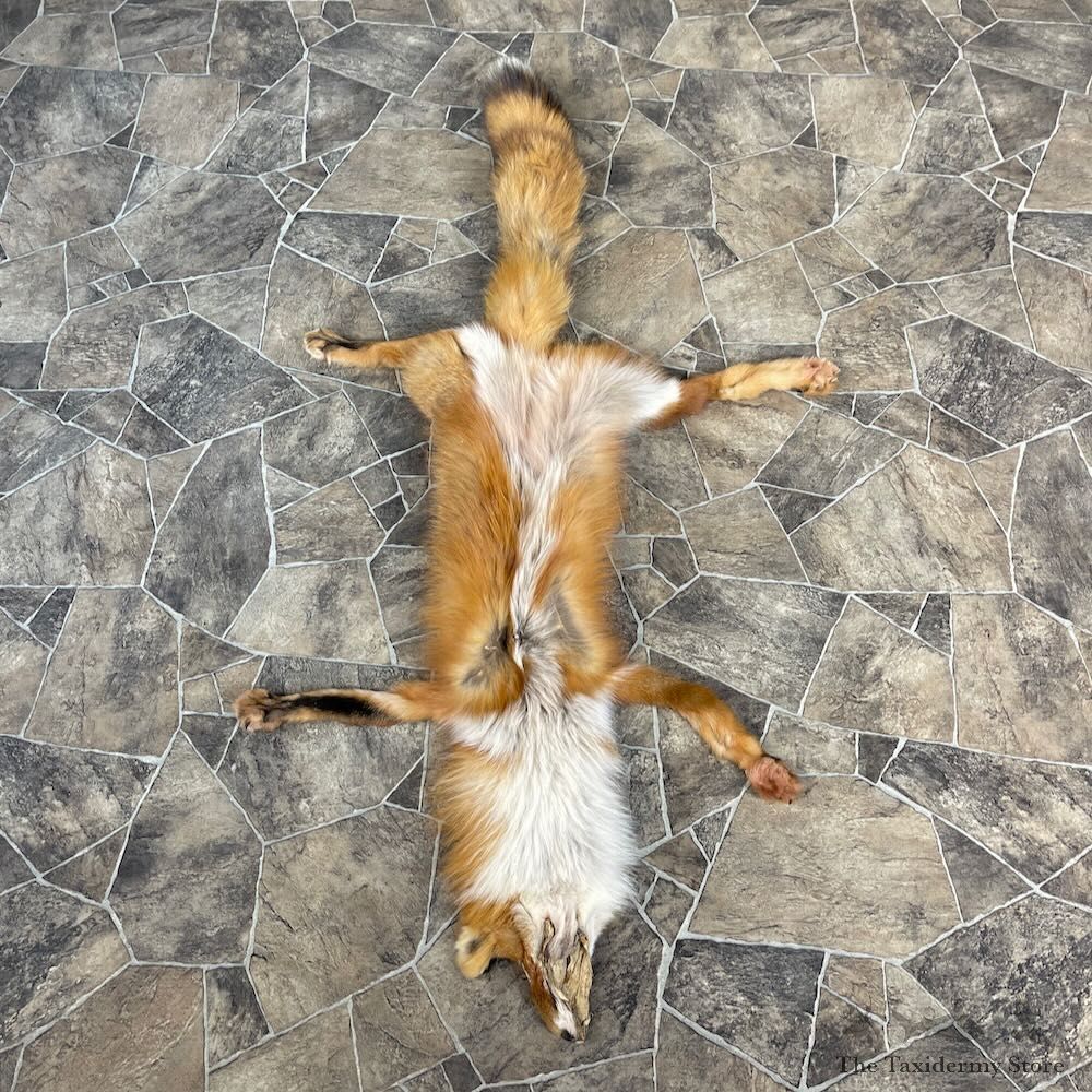 Red Fox Tanned Hide For Sale #27879 @ The Taxidermy Store