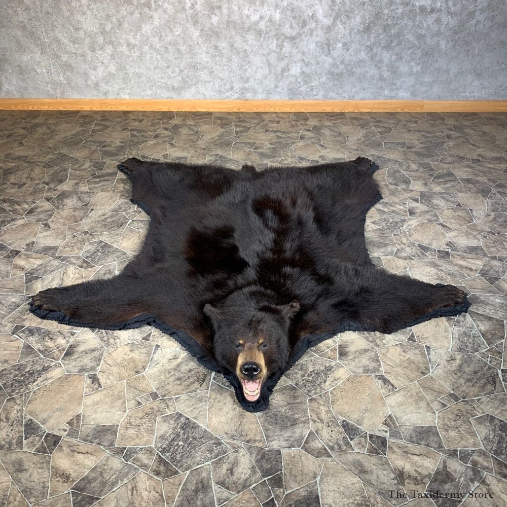 Black Bear Full-Size Rug For Sale #22107 @ The Taxidermy Store