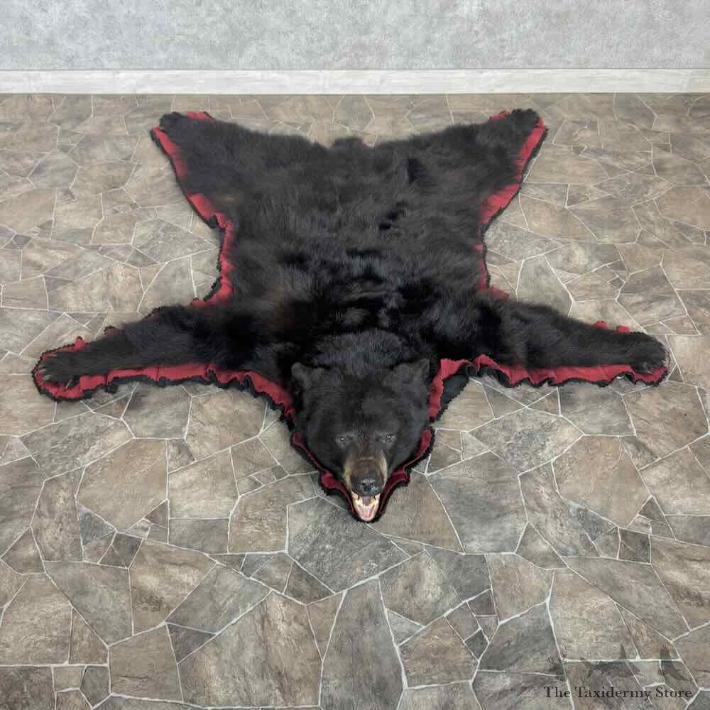 Black Bear Full-Size Rug For Sale #31028 @ The Taxidermy Store