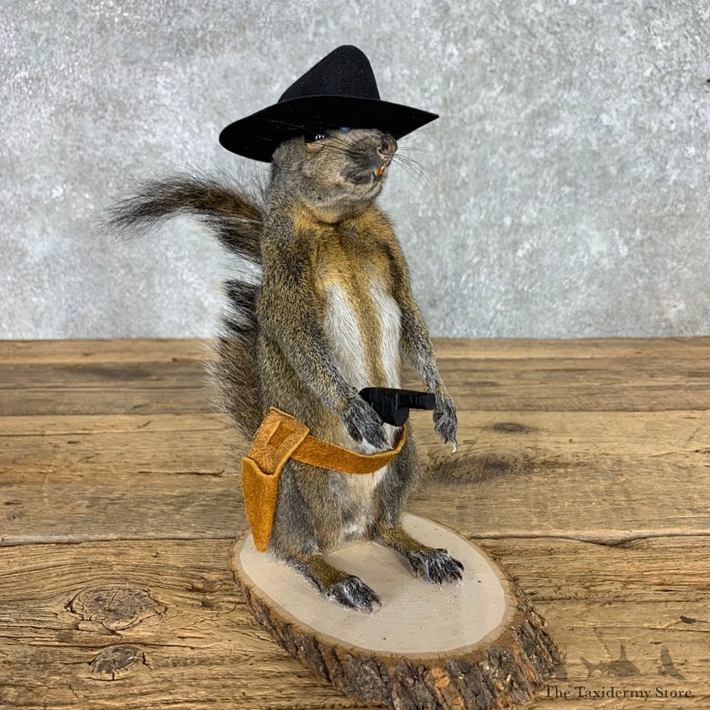 Cowboy Squirrel Novelty Mount For Sale #23457 @ The Taxidermy Store