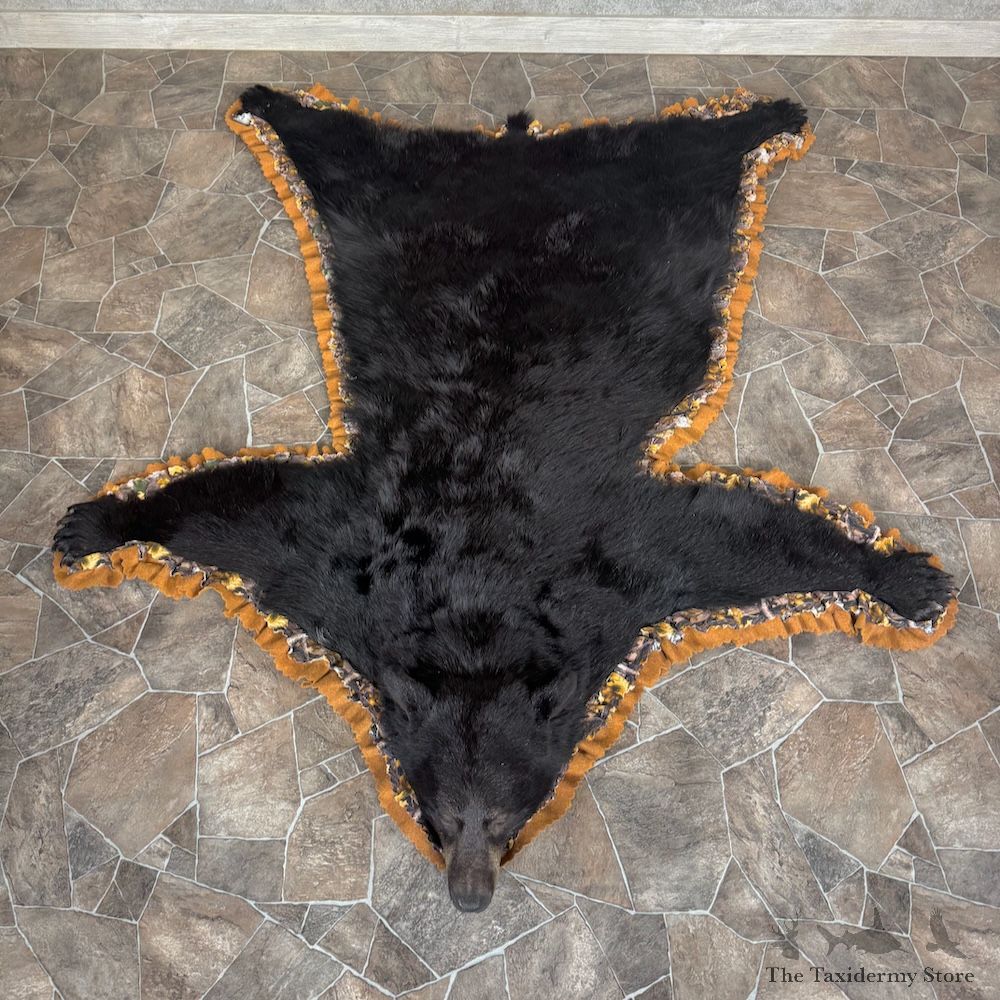 Black Bear Full-Size Rug For Sale #29311 @ The Taxidermy Store