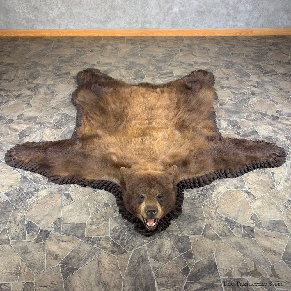 Cinnamon Phase Black Bear Full-Size Rug For Sale #24015 @ The Taxidermy Store