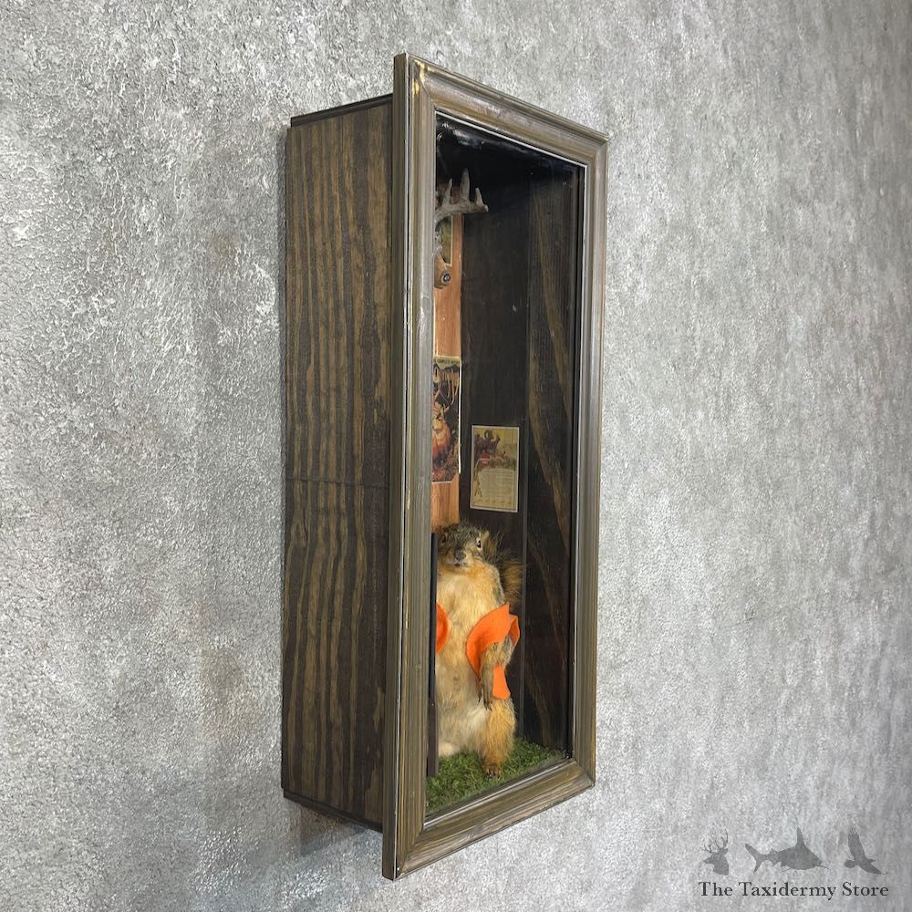 Novelty Fox Squirrel For Sale #25447 @ The Taxidermy Store