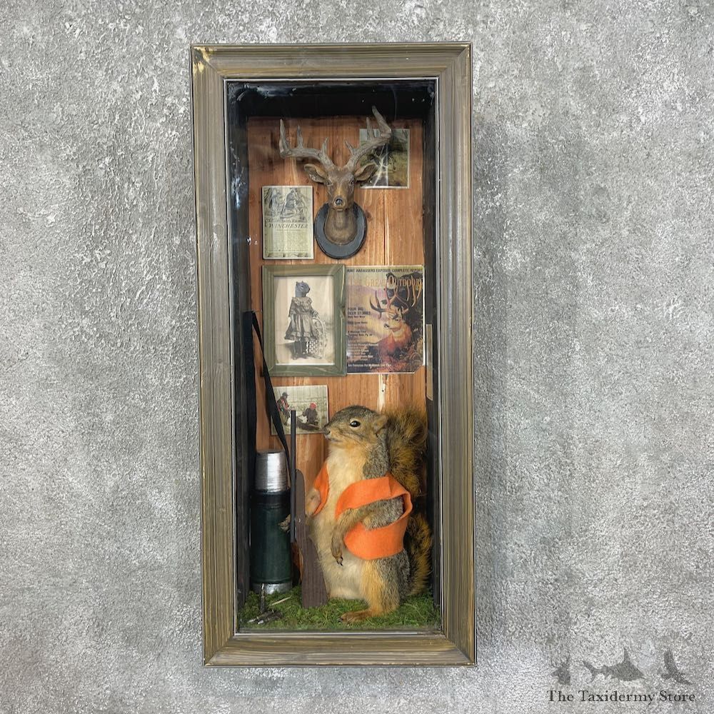 Novelty Fox Squirrel For Sale #25447 @ The Taxidermy Store