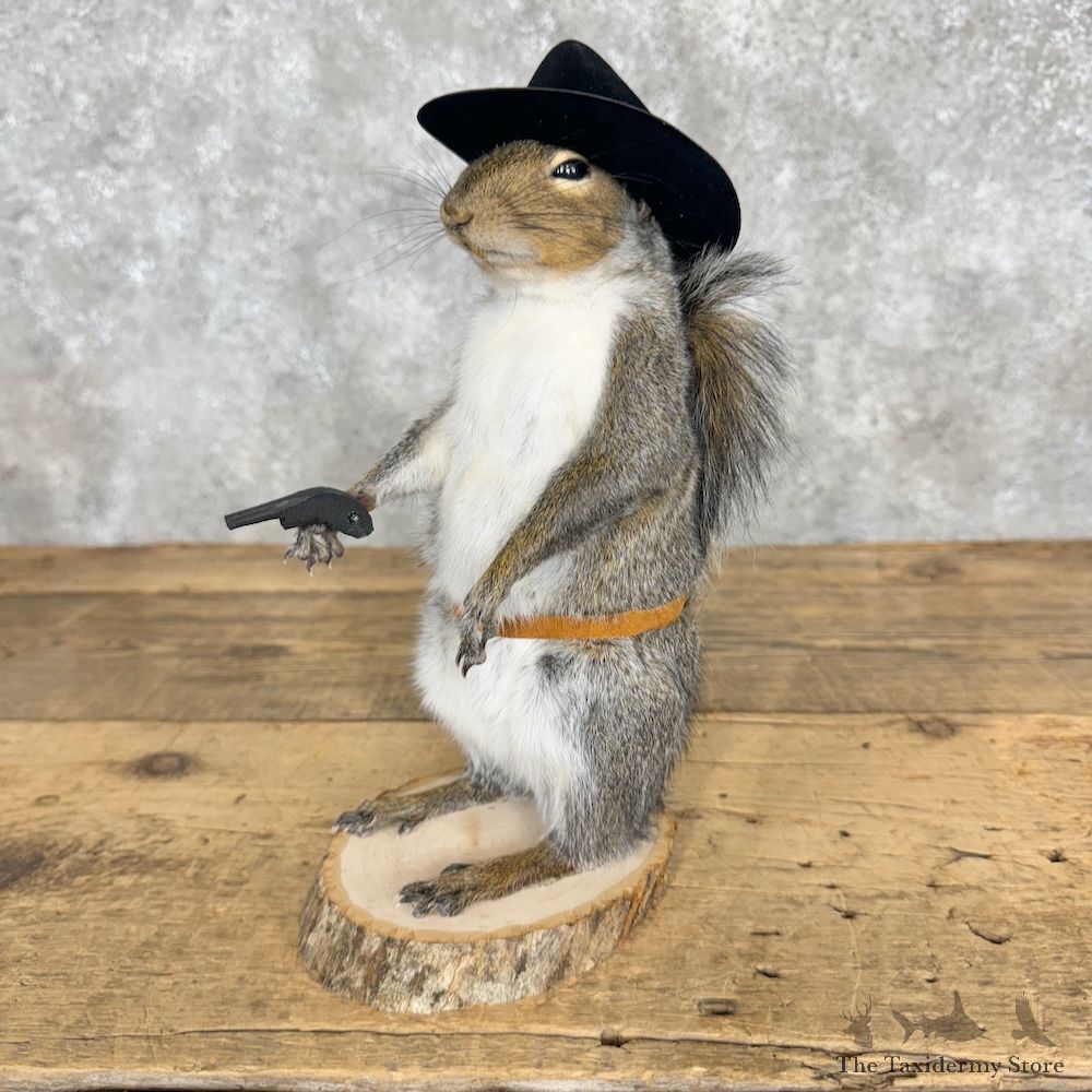 Cowboy Squirrel Novelty Mount For Sale #29476 @ The Taxidermy Store