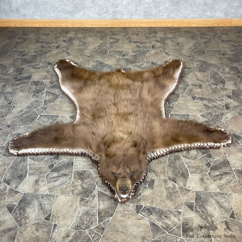Cinnamon Black Bear Full-Size Rug For Sale #27849 @ The Taxidermy Store