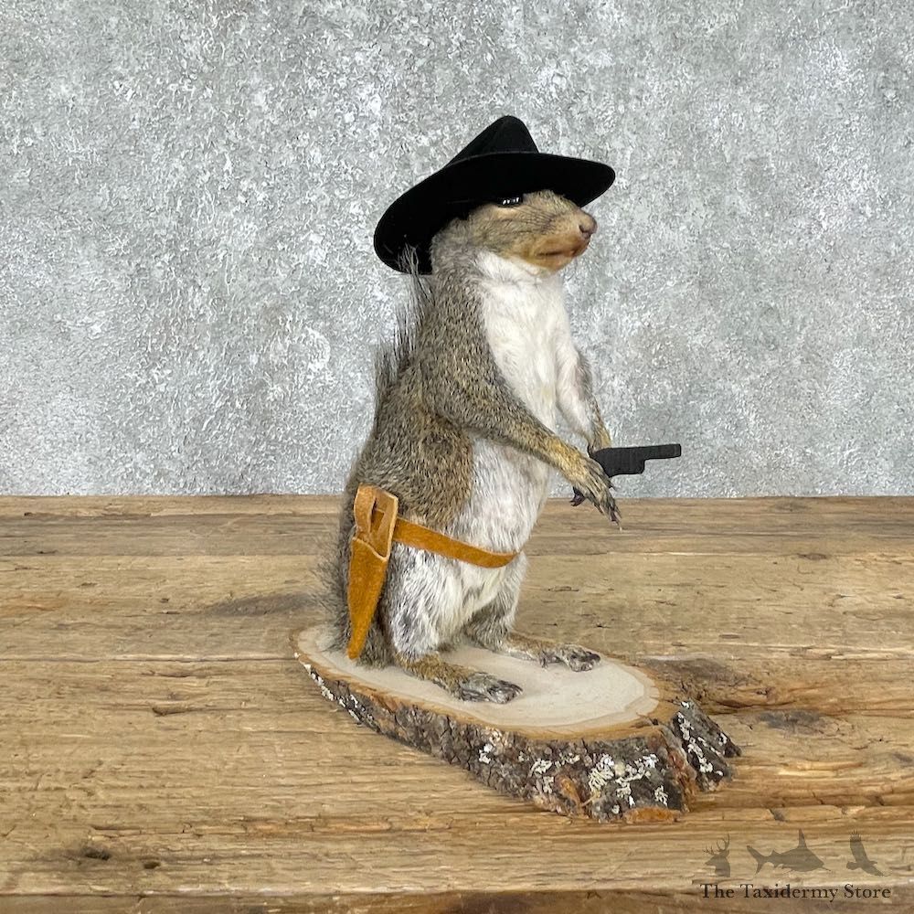 Cowboy Squirrel Novelty Mount For Sale #25538 @ The Taxidermy Store