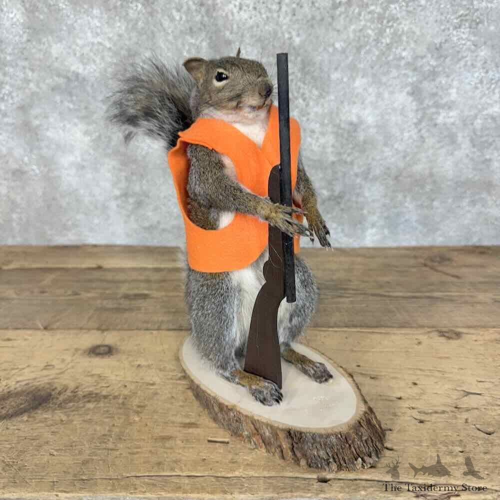 Hunting Squirrel Novelty Mount For Sale #31116 @ The Taxidermy Store