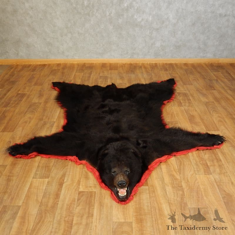 Black Bear Full-Size Rug For Sale #17257 @ The Taxidermy Store