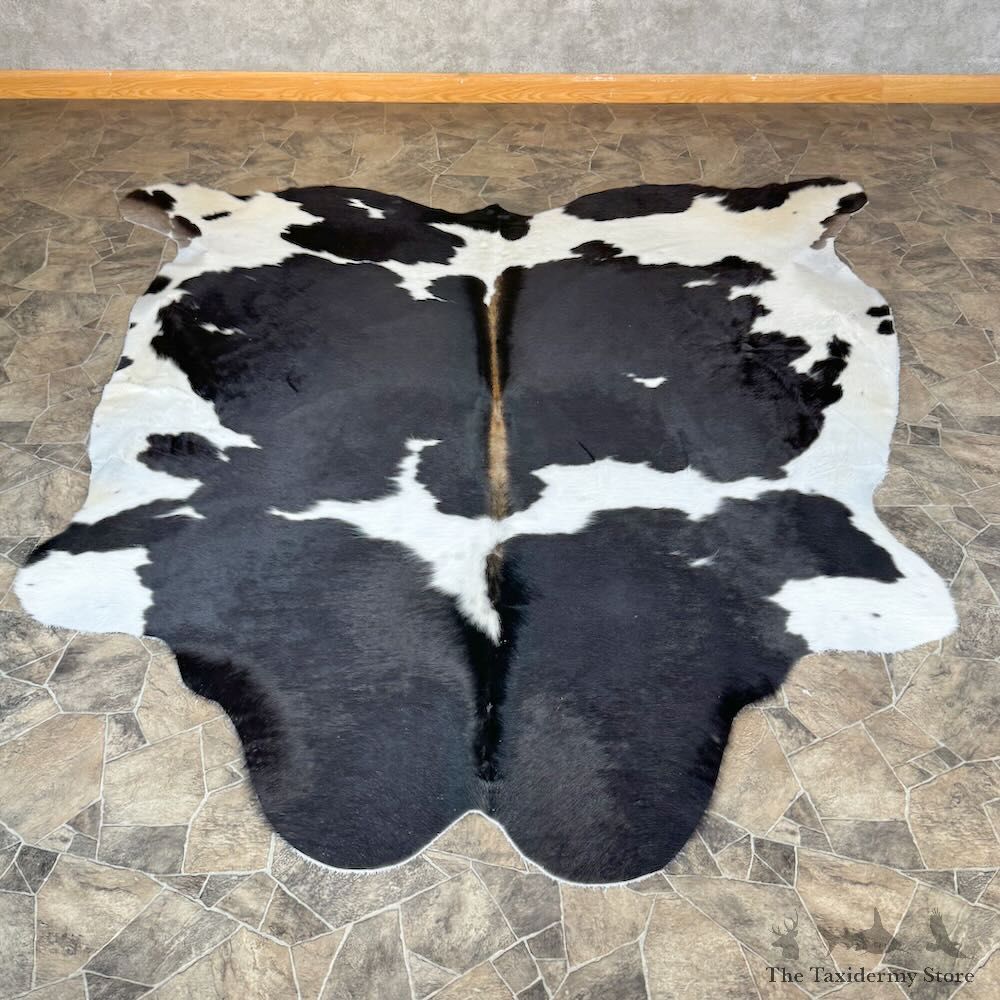 Black and White Cowhide Skin For Sale #28837 @ The Taxidermy Store