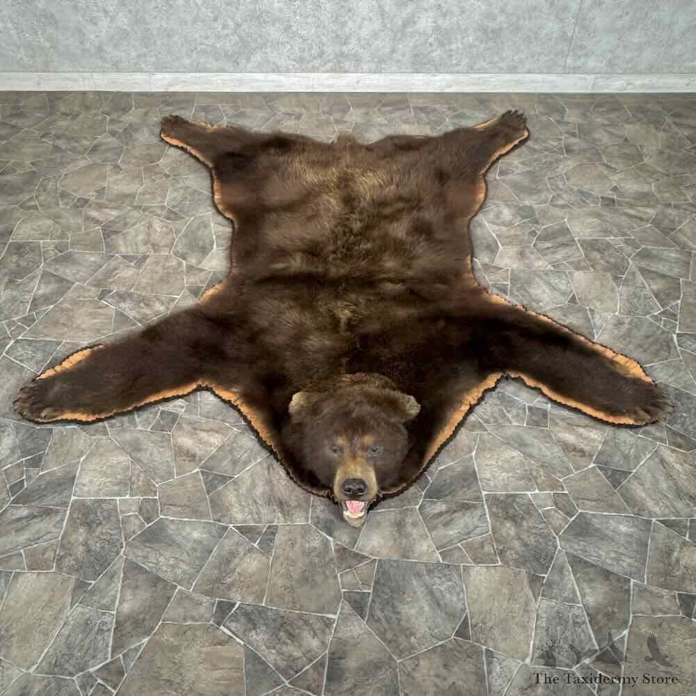 Cinnamon Black Bear Full Size Rug For Sale #31882 @ The Taxidermy Store