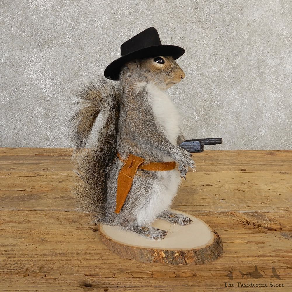 Cowboy Squirrel Novelty Mount For Sale #20729 @ The Taxidermy Store