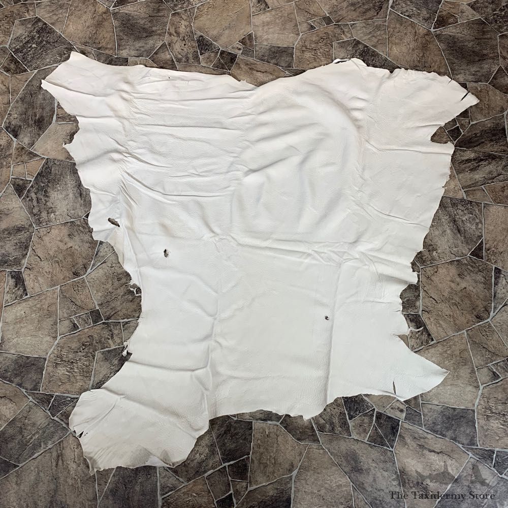 Buckskin Soft Tan Leather For Sale #22029 @ The Taxidermy Store