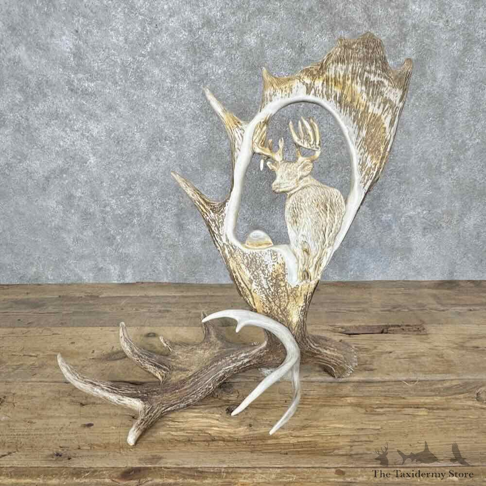 Moose Antler Carving Decor For Sale #31601 @ The Taxidermy Store