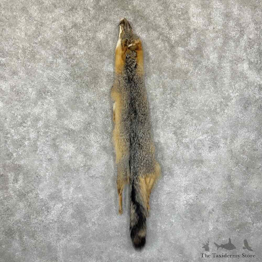 Grey Fox Tanned Hide For Sale #30957 @ The Taxidermy Store