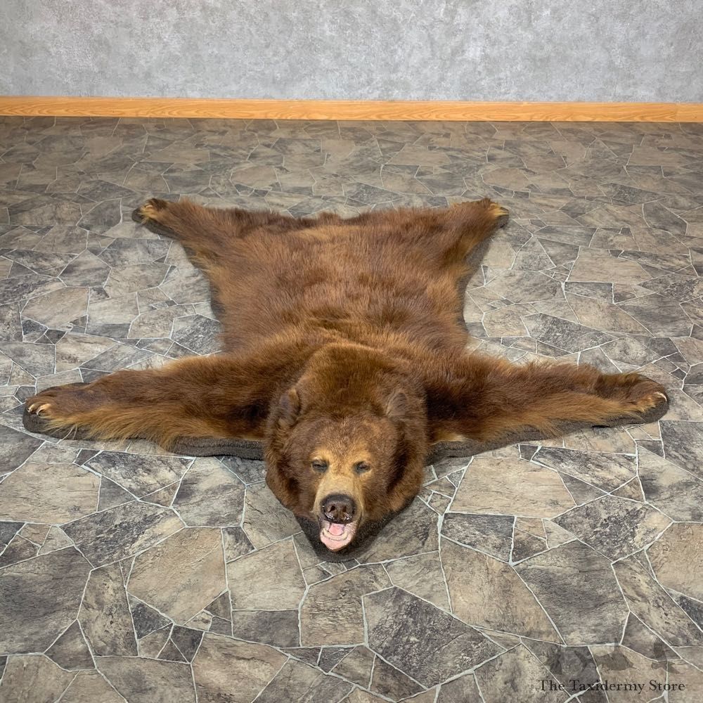 Cinnamon Phase Black Bear Full-Size Rug For Sale #22697 @ The Taxidermy Store