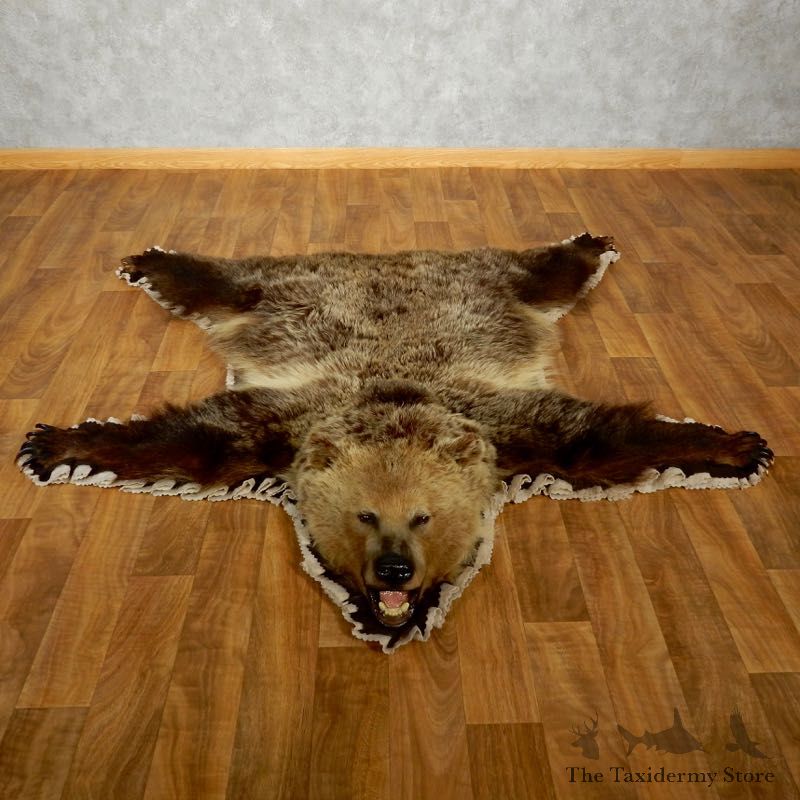 Grizzly Bear Taxidermy Rug Mount For Sale #17498 @ The Taxidermy Store