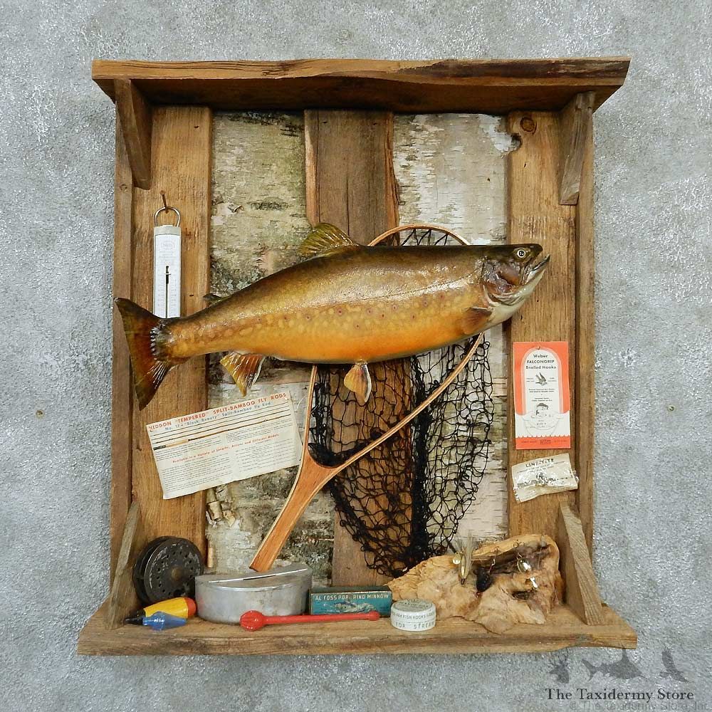 Captain's Classic Brook Trout Display Taxidermy Mount #13300 For Sale @ The Taxidermy Store