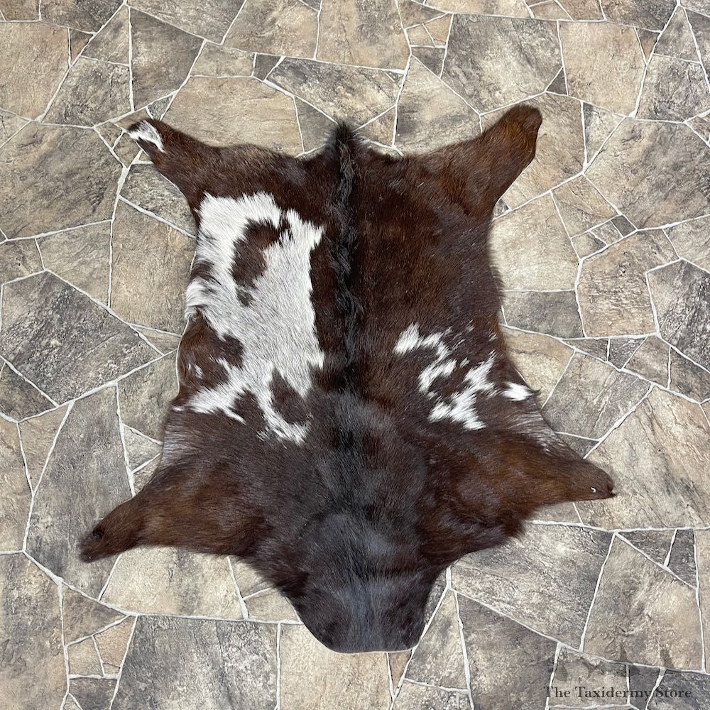 Goat Hide Taxidermy Tanned Skin For Sale #26286 @ The Taxidermy Store