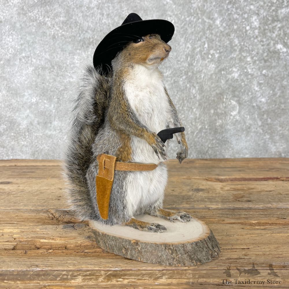 Cowboy Squirrel Novelty Mount For Sale #26085 - The Taxidermy Store
