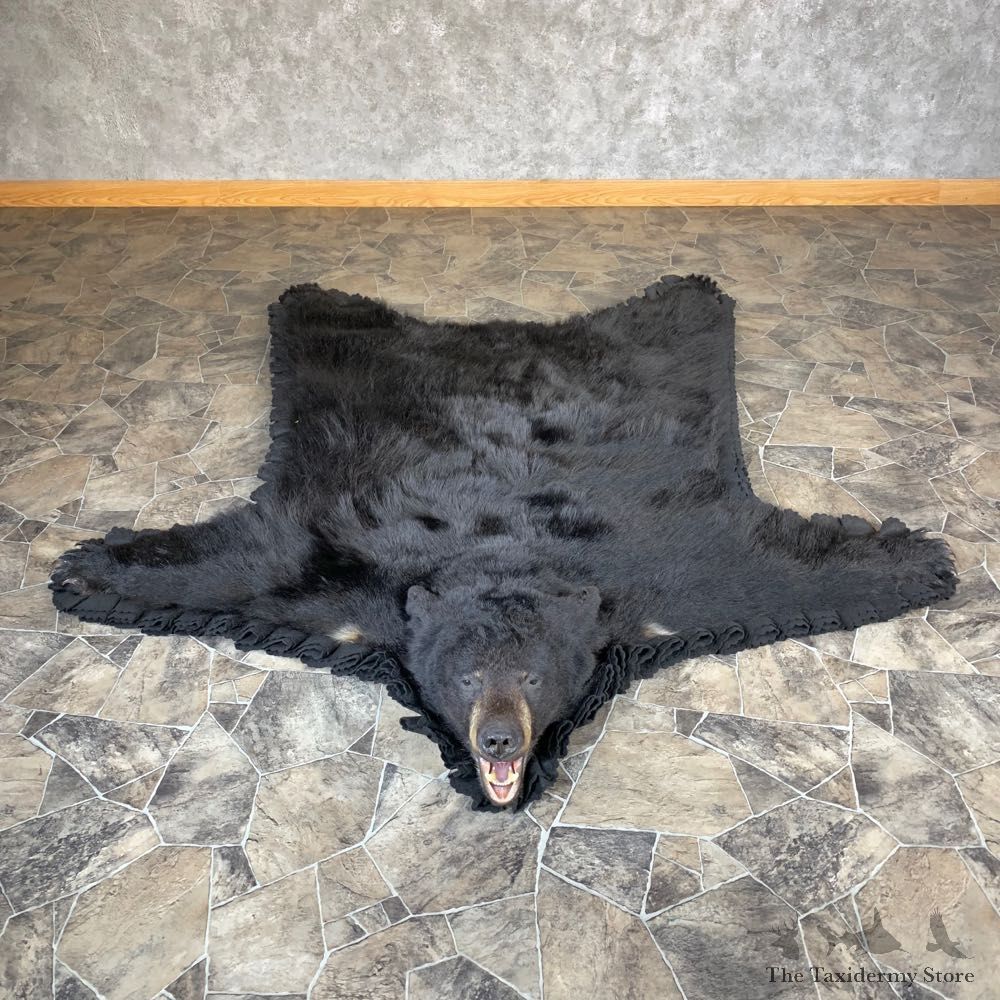 Black Bear Full-Size Rug For Sale #21960 @ The Taxidermy Store