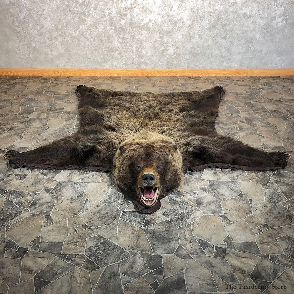 Grizzly Bear Taxidermy Rug Mount For Sale #20340 @ The Taxidermy Store