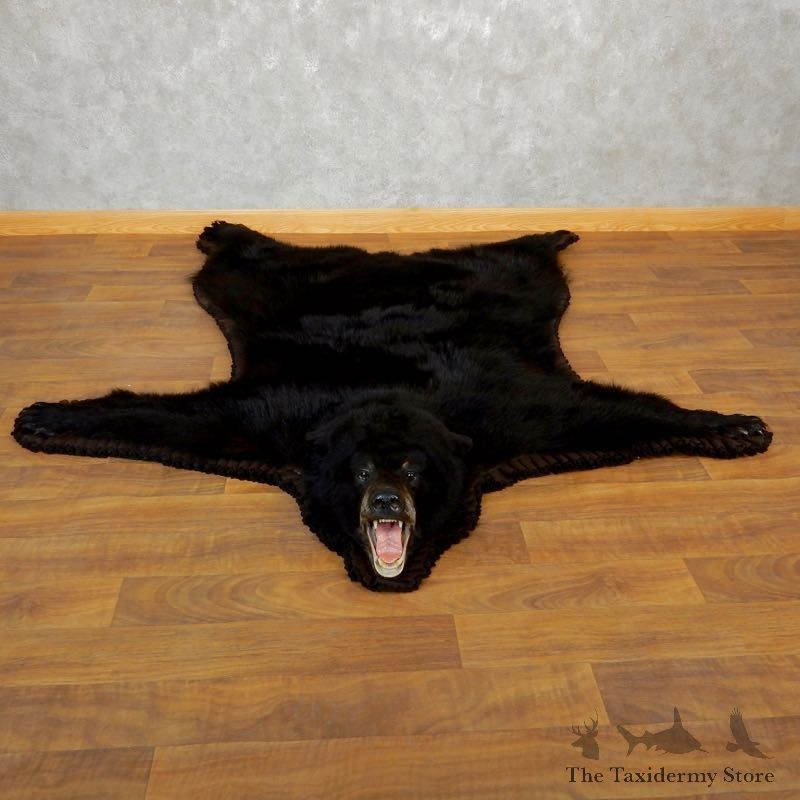 Black Bear Full Rug Taxidermy Mount For Sale #17854 @ The Taxidermy Store