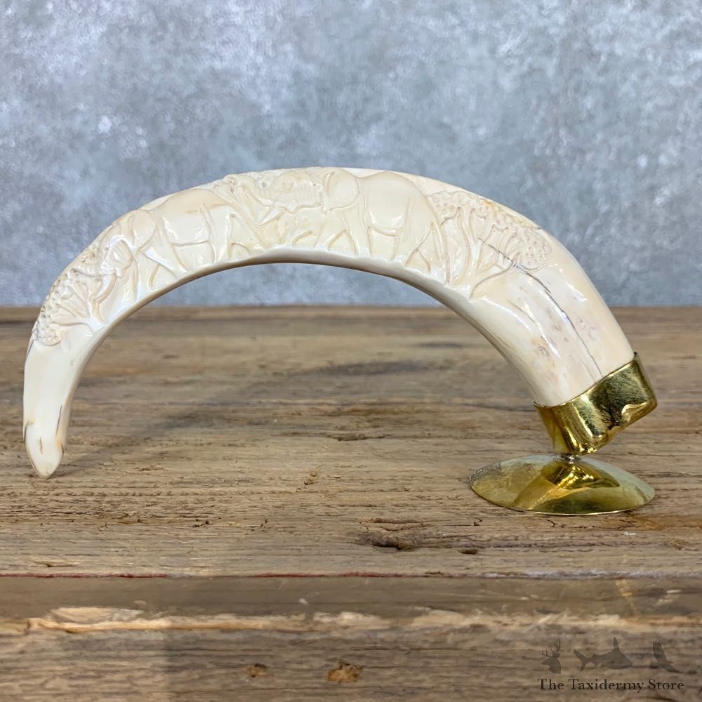 Carved Warthog Tooth For Sale #22390 @ The Taxidermy Store