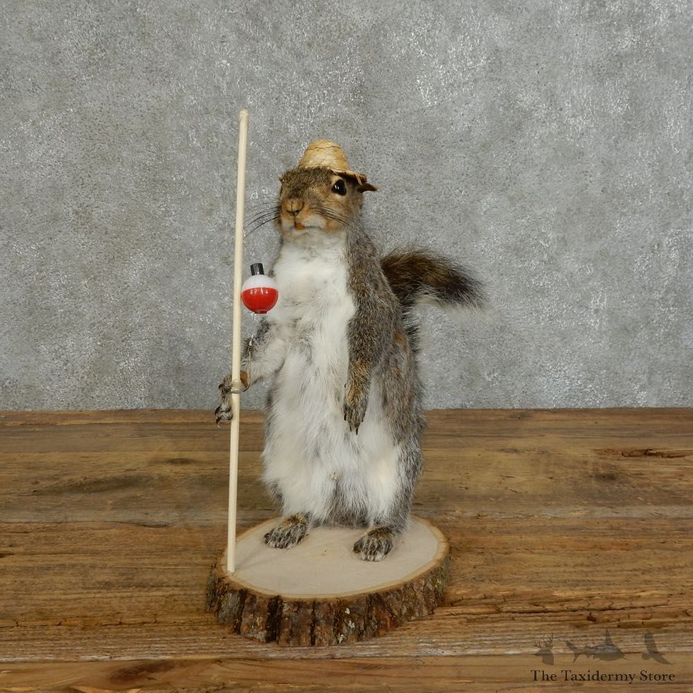 Fishing Squirrel Novelty Mount For Sale #16110 @ The Taxidermy Store