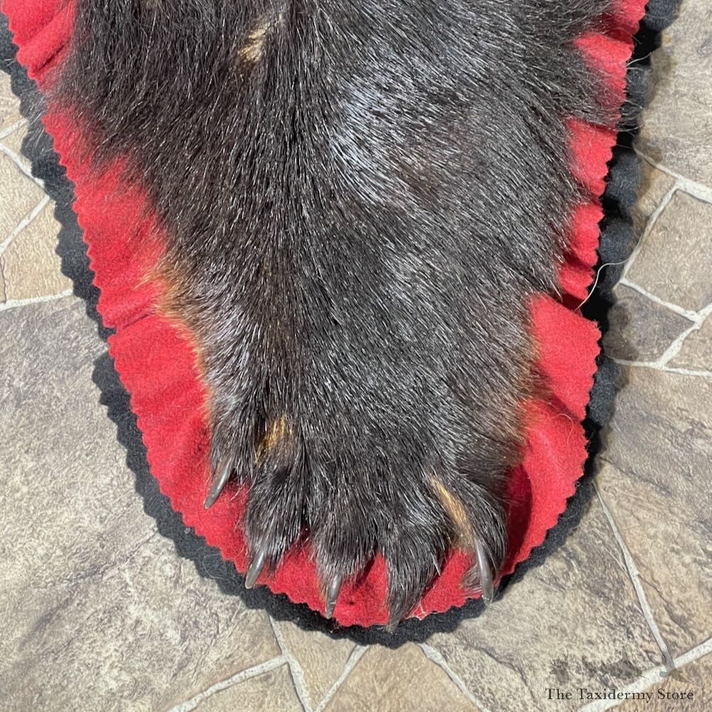 Black Bear Full-Size Rug For Sale #27848 @ The Taxidermy Store