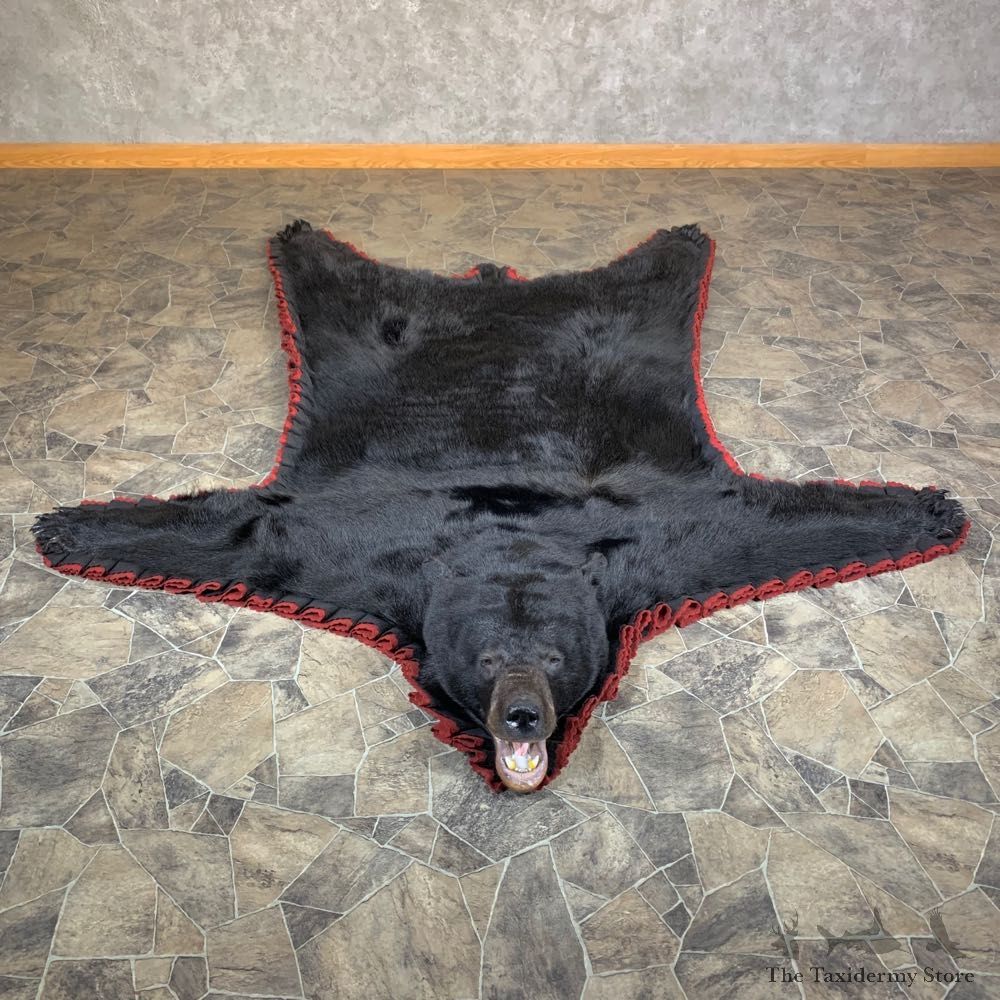 Black Bear Full-Size Rug For Sale #23665 @ The Taxidermy Store