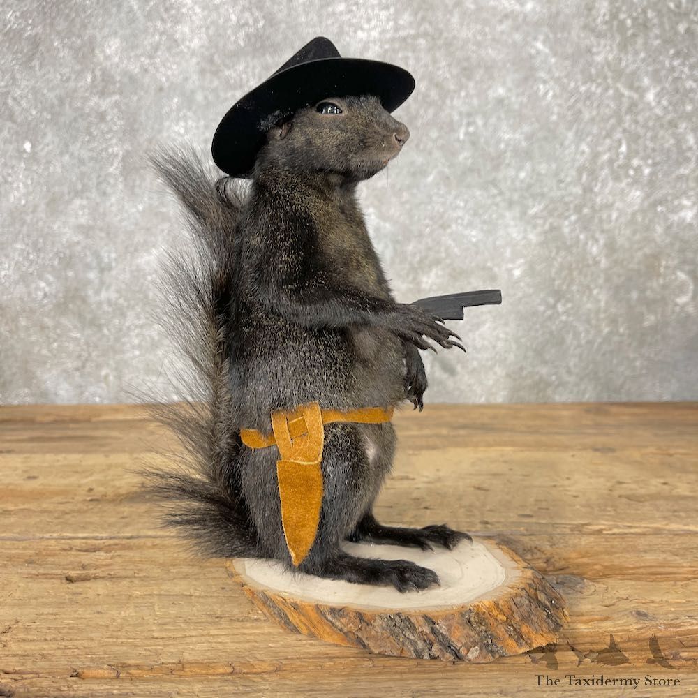 Cowboy Squirrel Novelty Mount For Sale #26076 - The Taxidermy Store