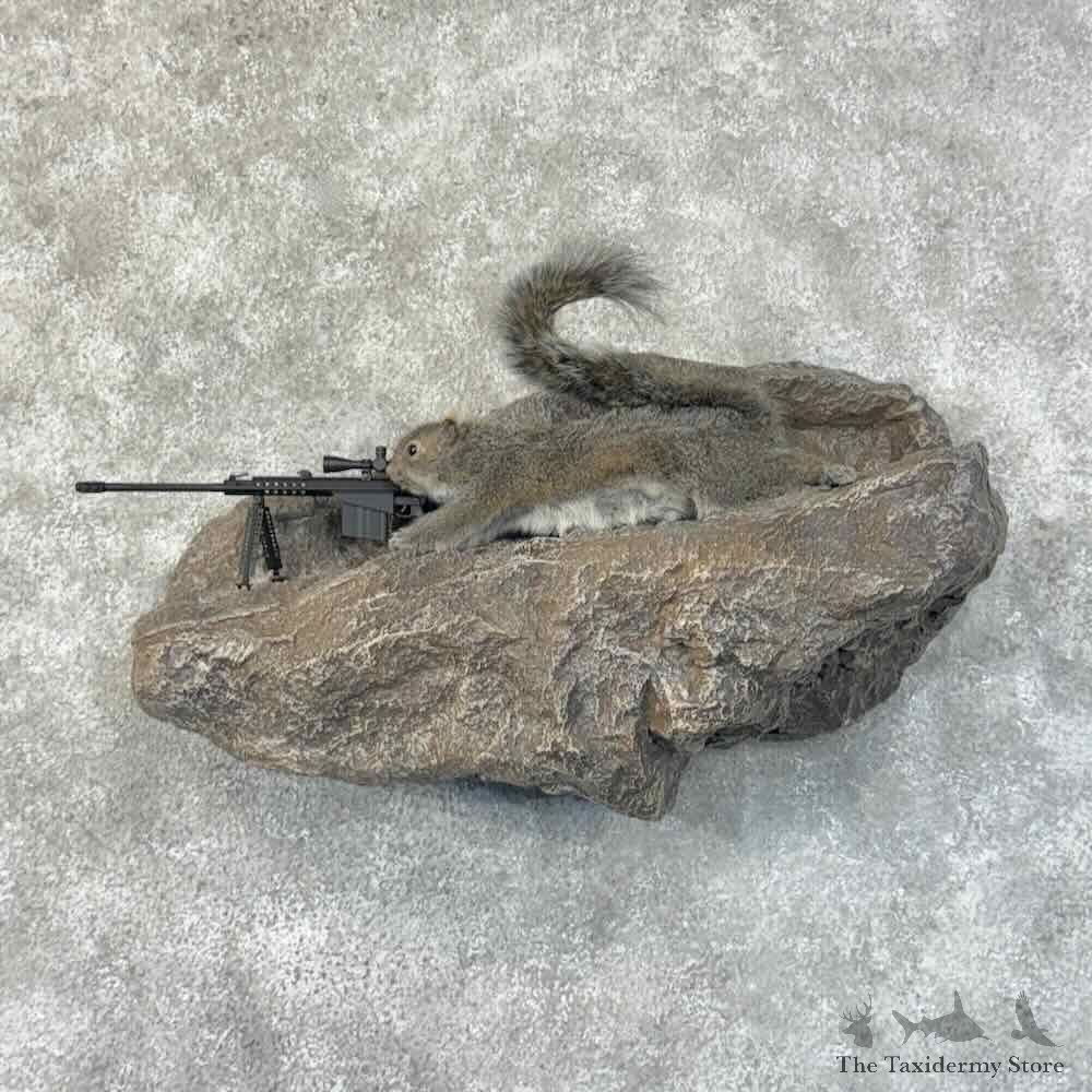 Sniper Squirrel Novelty Mount For Sale #31469 @ The Taxidermy Store