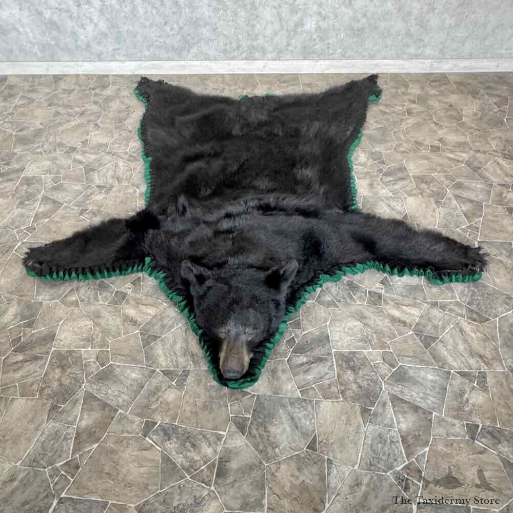 Black Bear Full-Size Rug For Sale #31031 @ The Taxidermy Store