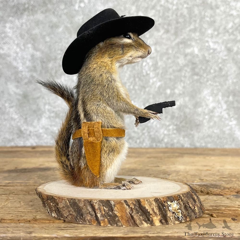 Cowboy Chipmunk Novelty Mount For Sale #24042 @ The Taxidermy Store