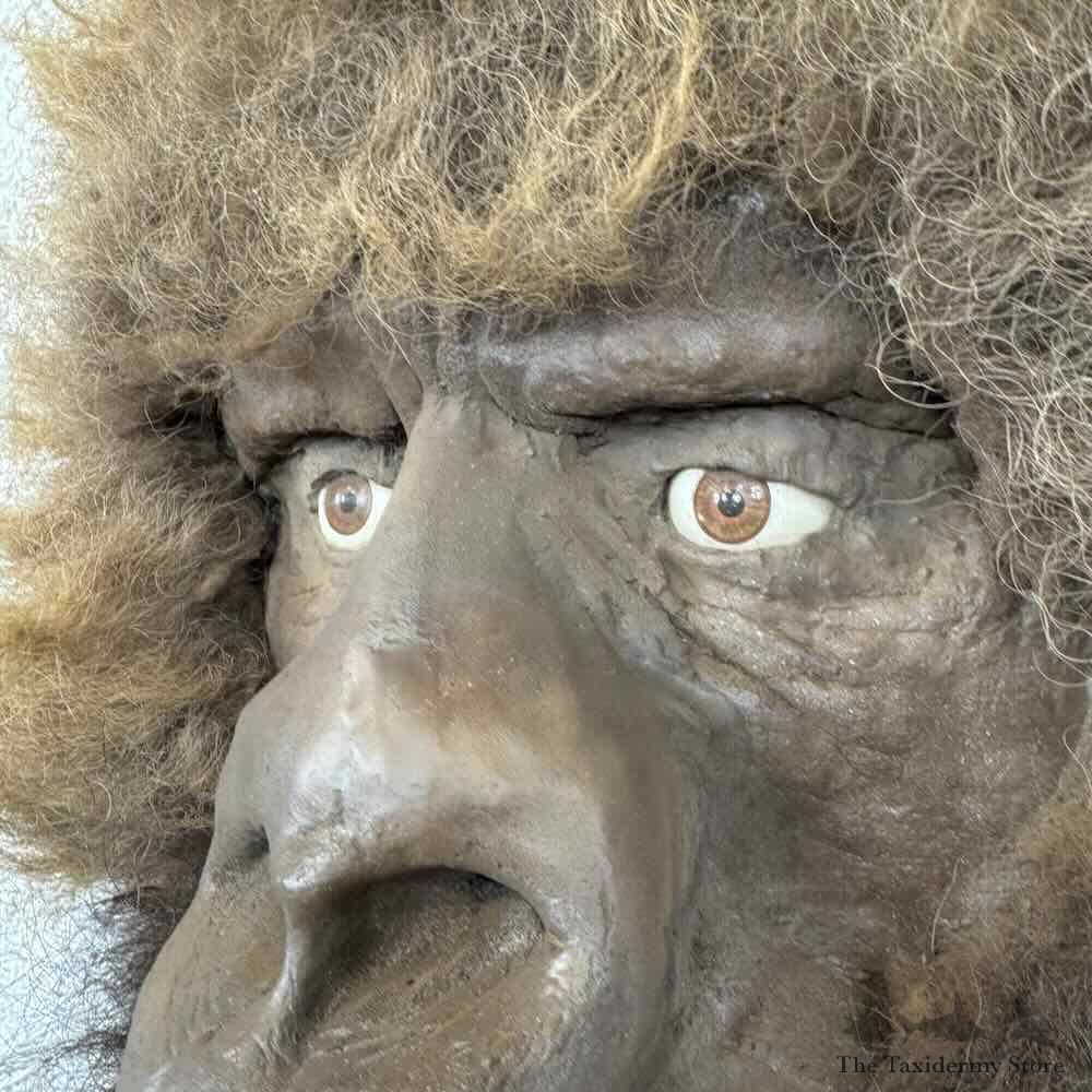 Replica Bigfoot Head Mount For Sale #30918 @ The Taxidermy Store