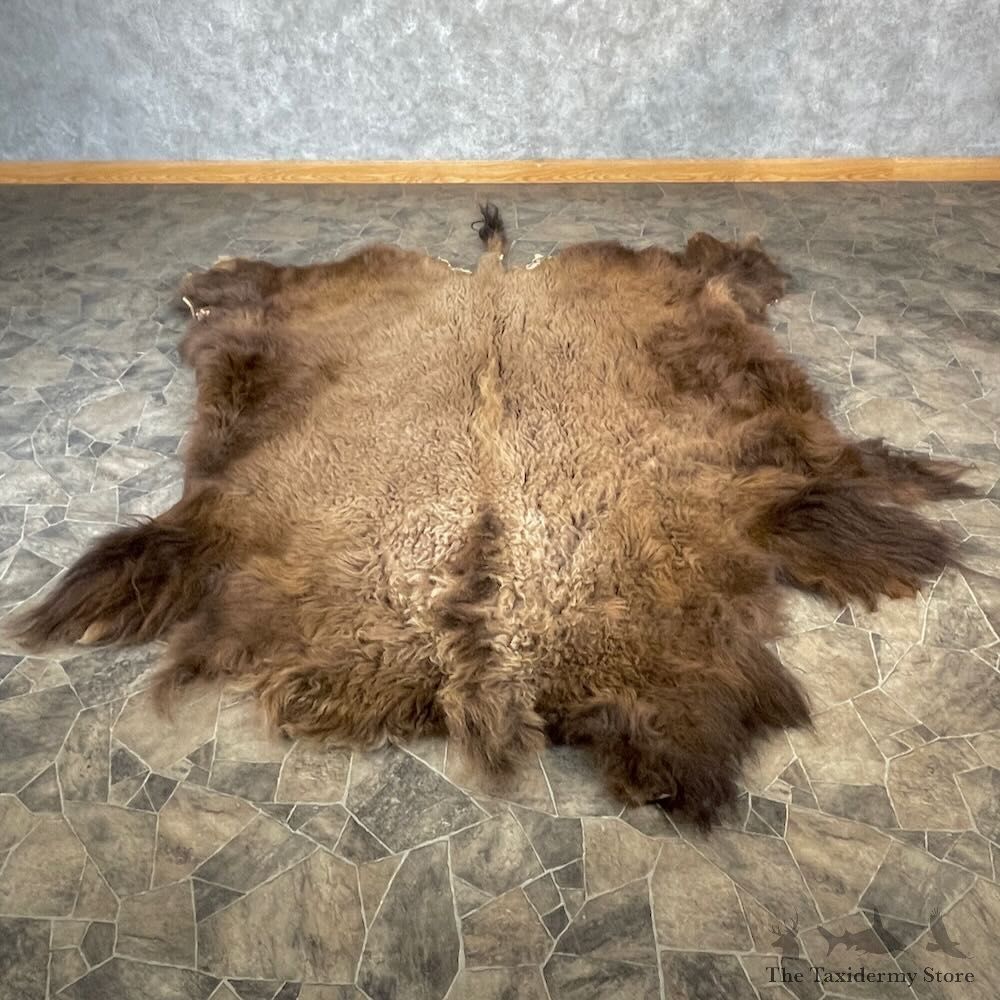 American Buffalo Bison Hide For Sale #27883 - The Taxidermy Store