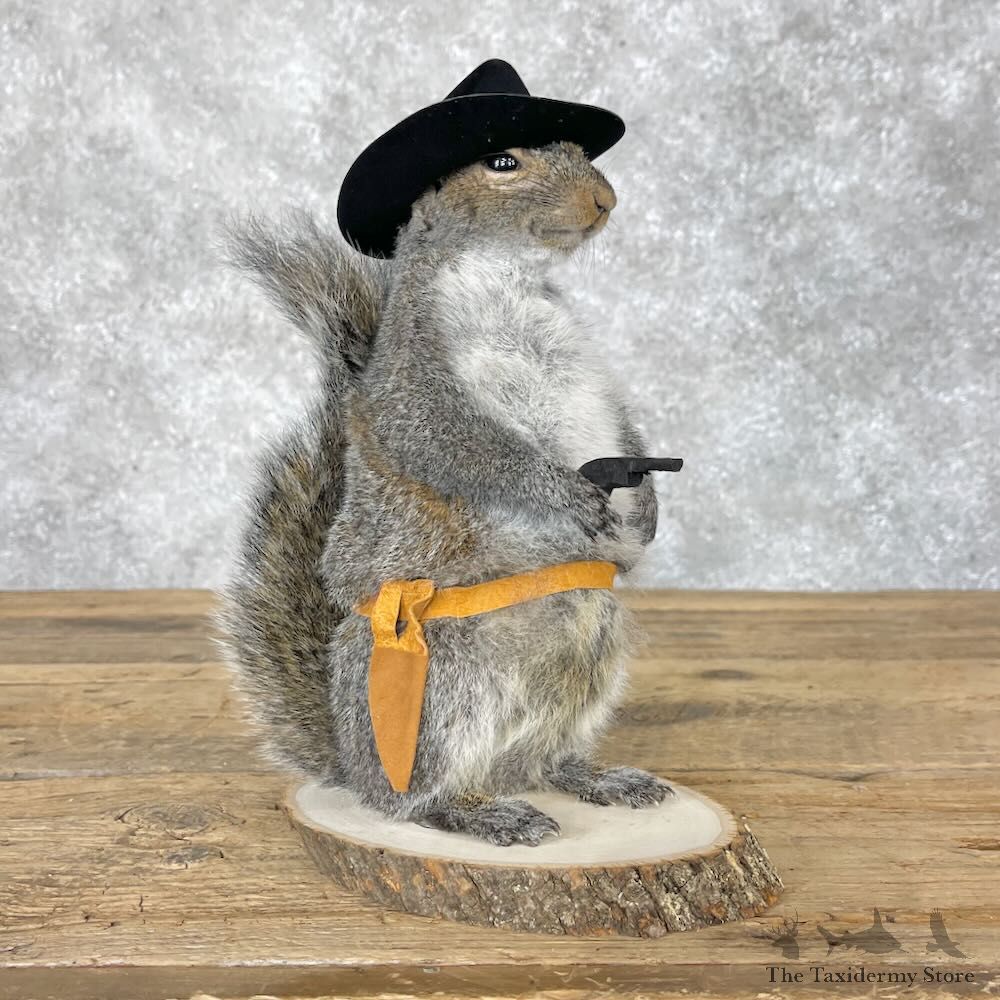Cowboy Squirrel Novelty Mount For Sale #28606 @ The Taxidermy Store